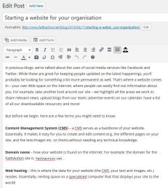 This blog displayed in the WordPress editor